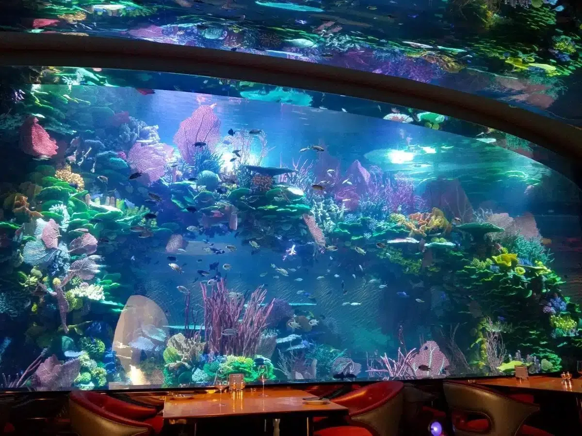 Lit aquarium with reef rockwork at the Burj Al Arab