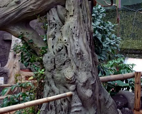 Carved tree trunk among planting at Chester Zoo