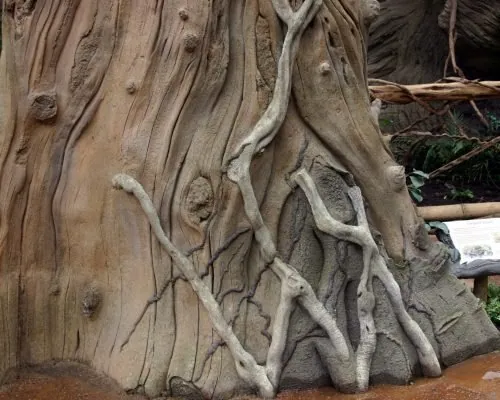 Detail of a carved trunk with roots at Chester Zoo
