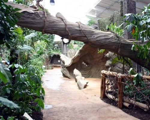 Chester Zoo, photo 6 of 10