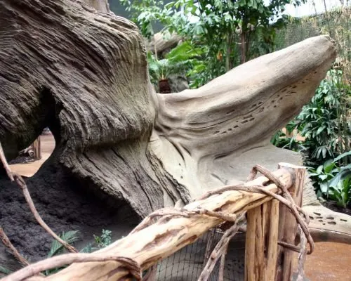 Chester Zoo, photo 8 of 10