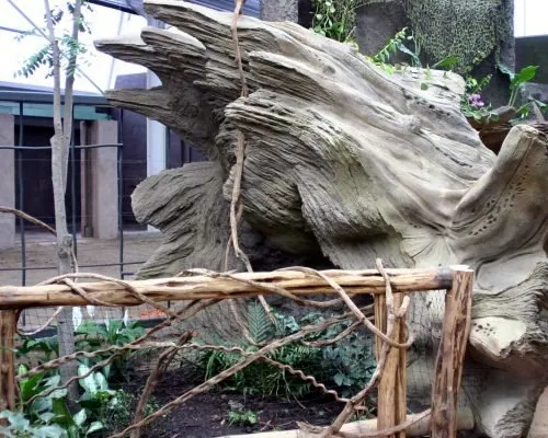 Chester Zoo, photo 9 of 10