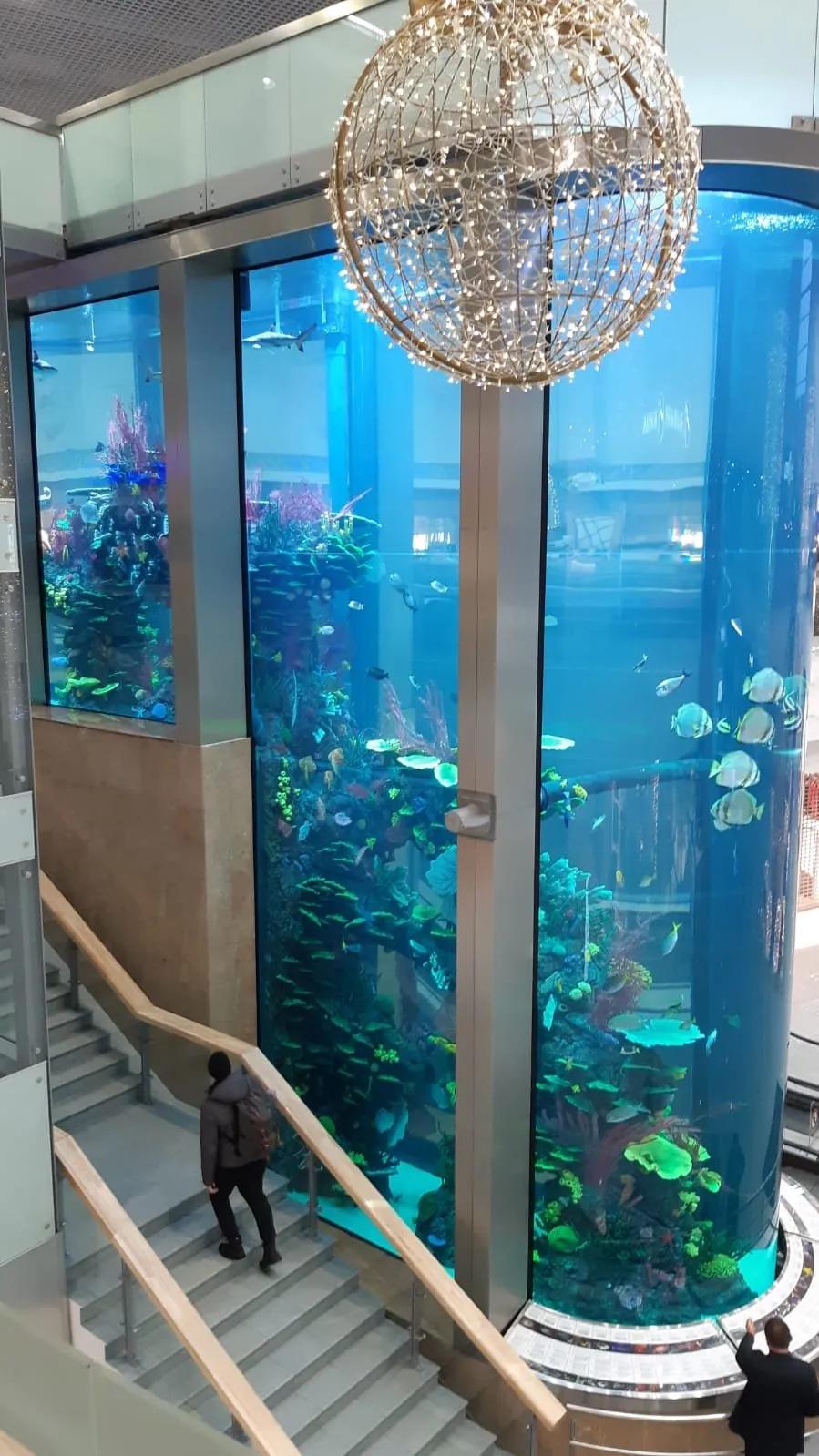Kaunas Mega Aquarium, photo 11 of 11