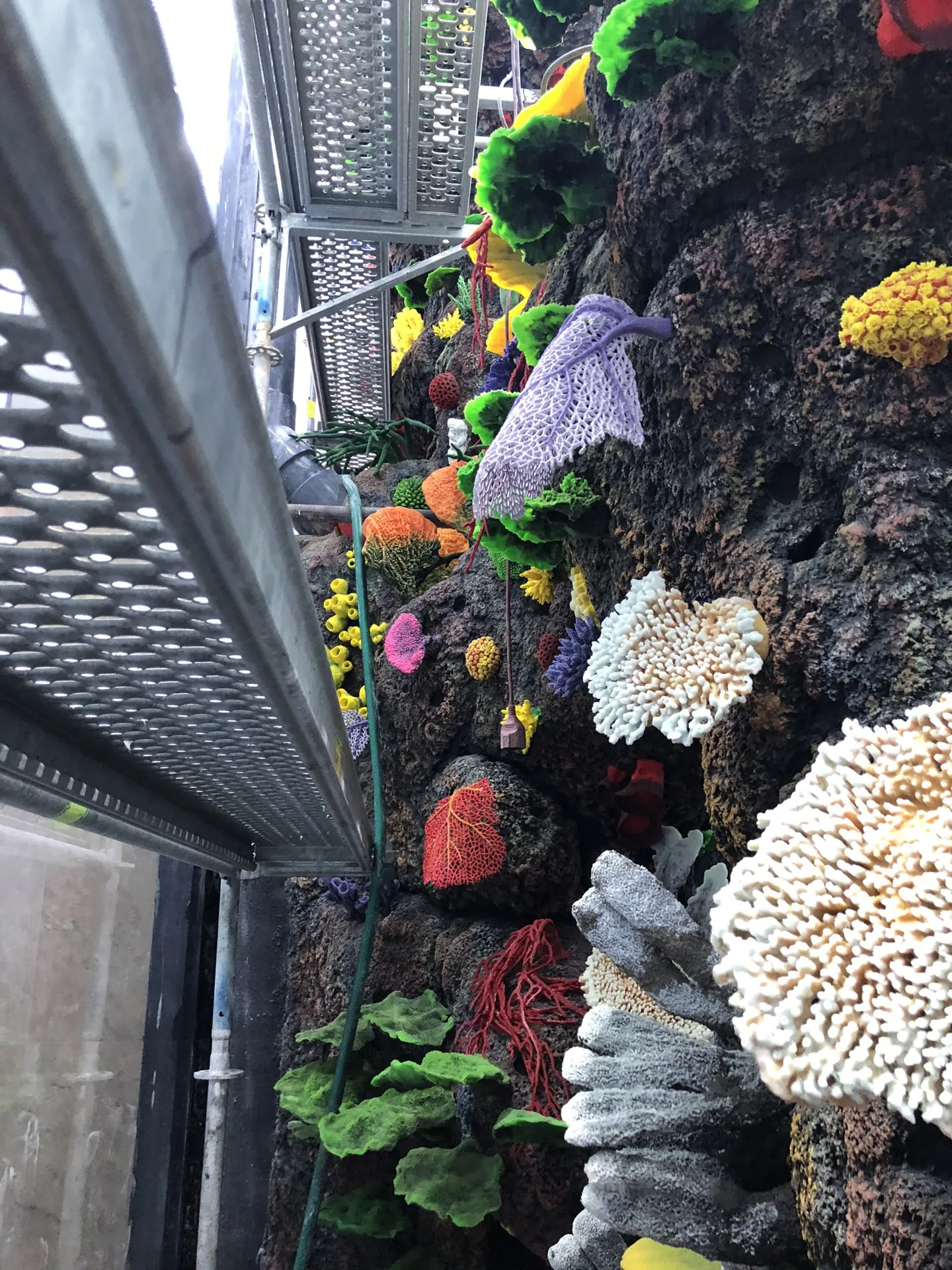 Kaunas Mega Aquarium, photo 5 of 11