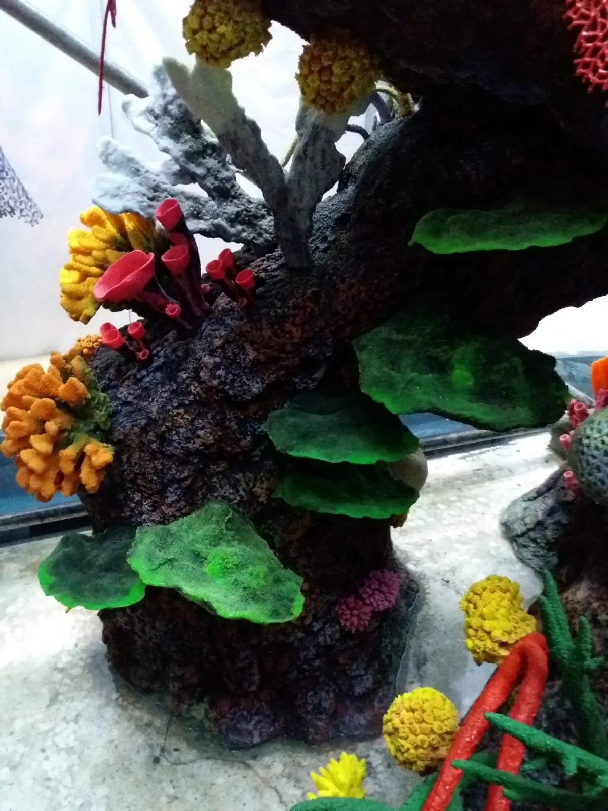 Kaunas Mega Aquarium, photo 7 of 11