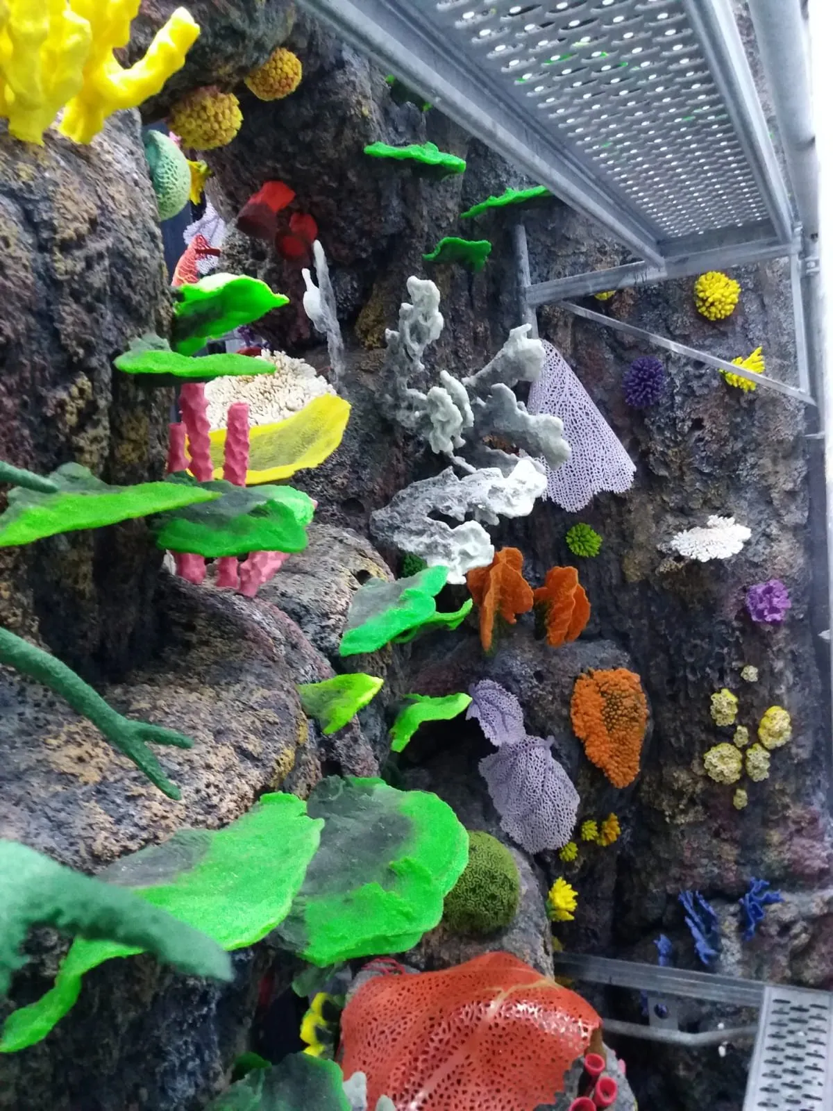 Kaunas Mega Aquarium, photo 9 of 11