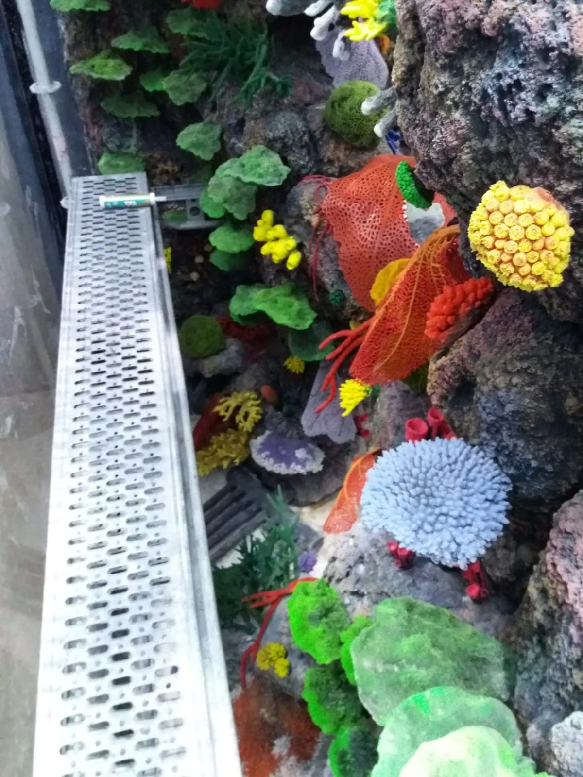 Kaunas Mega Aquarium, photo 10 of 11