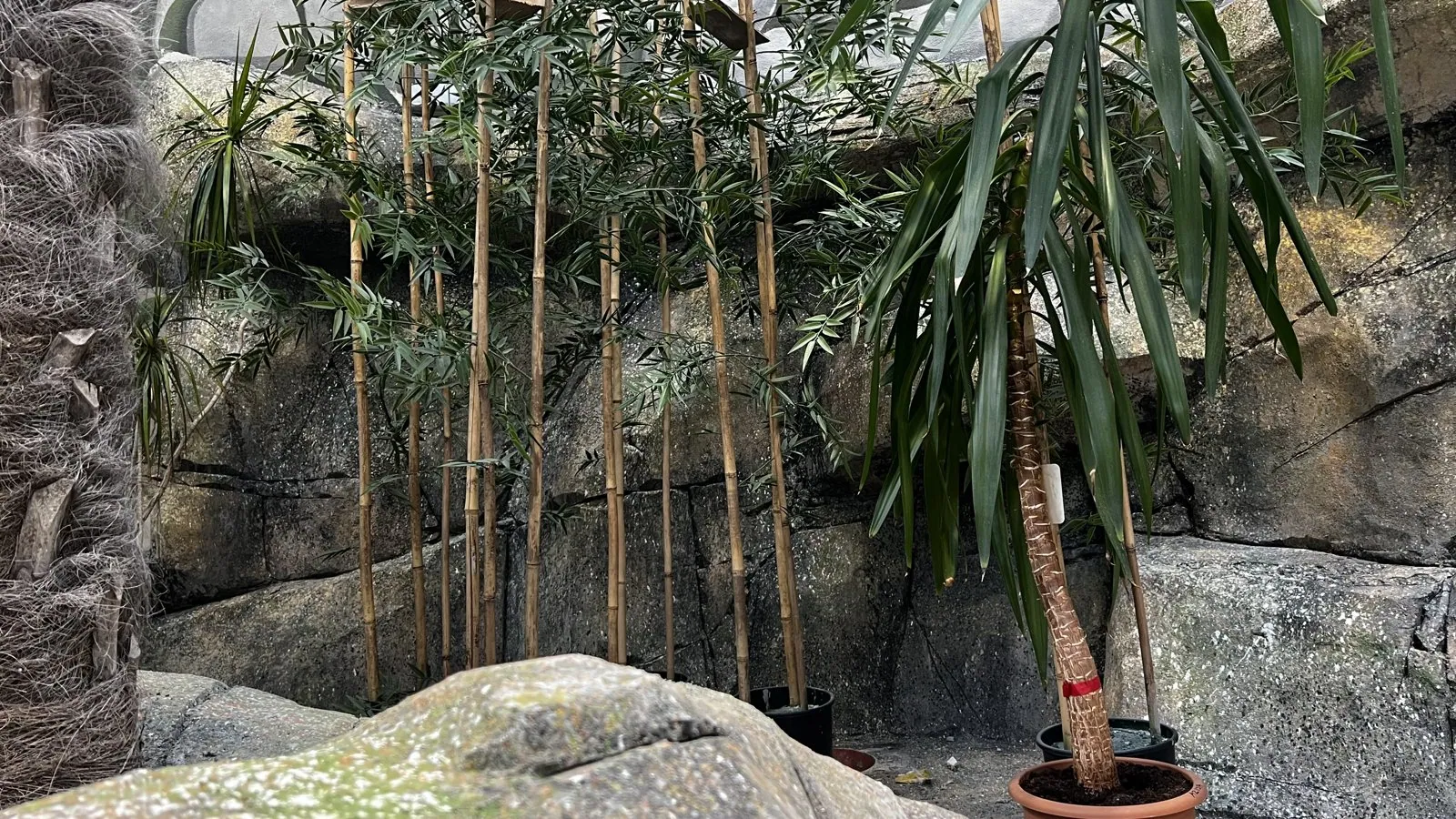 Kaunas Zoo, photo 10 of 10