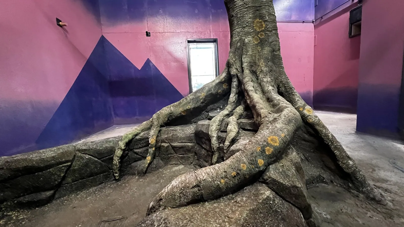 Kaunas Zoo, photo 7 of 10