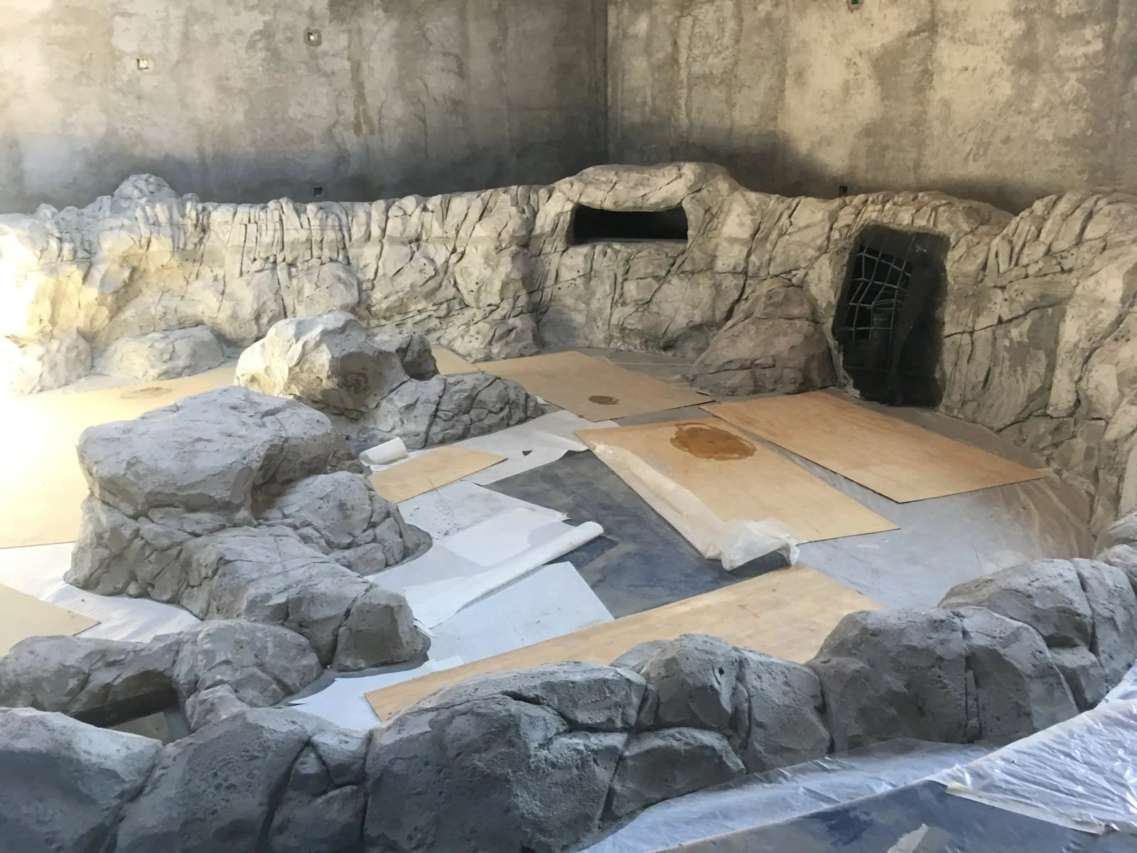 Reef Wall Installation, photo 4 of 10