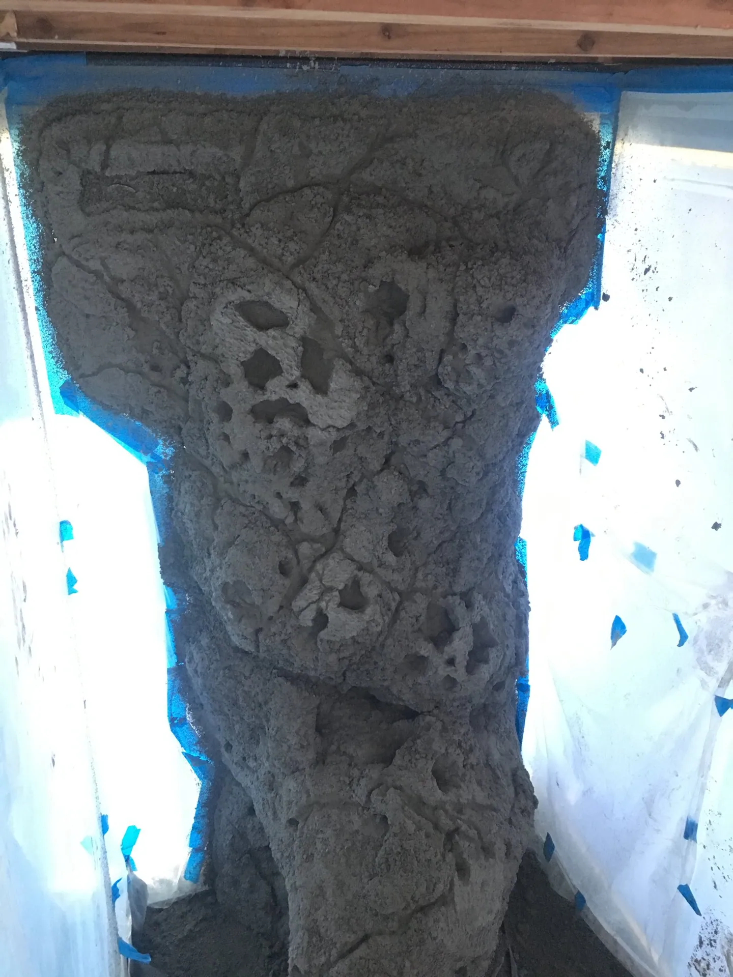 Reef Wall Installation, photo 7 of 10