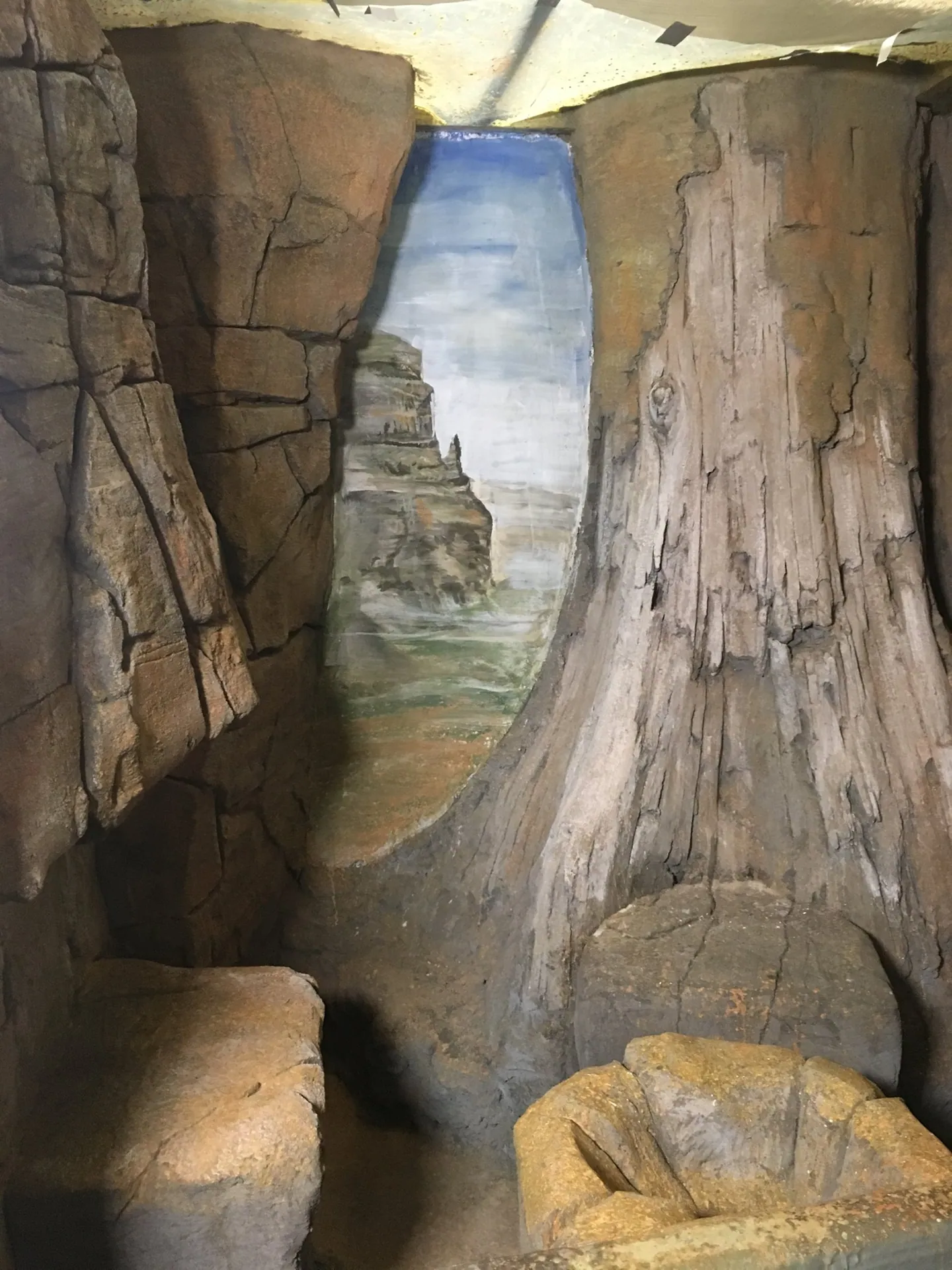 Universeum, photo 10 of 16