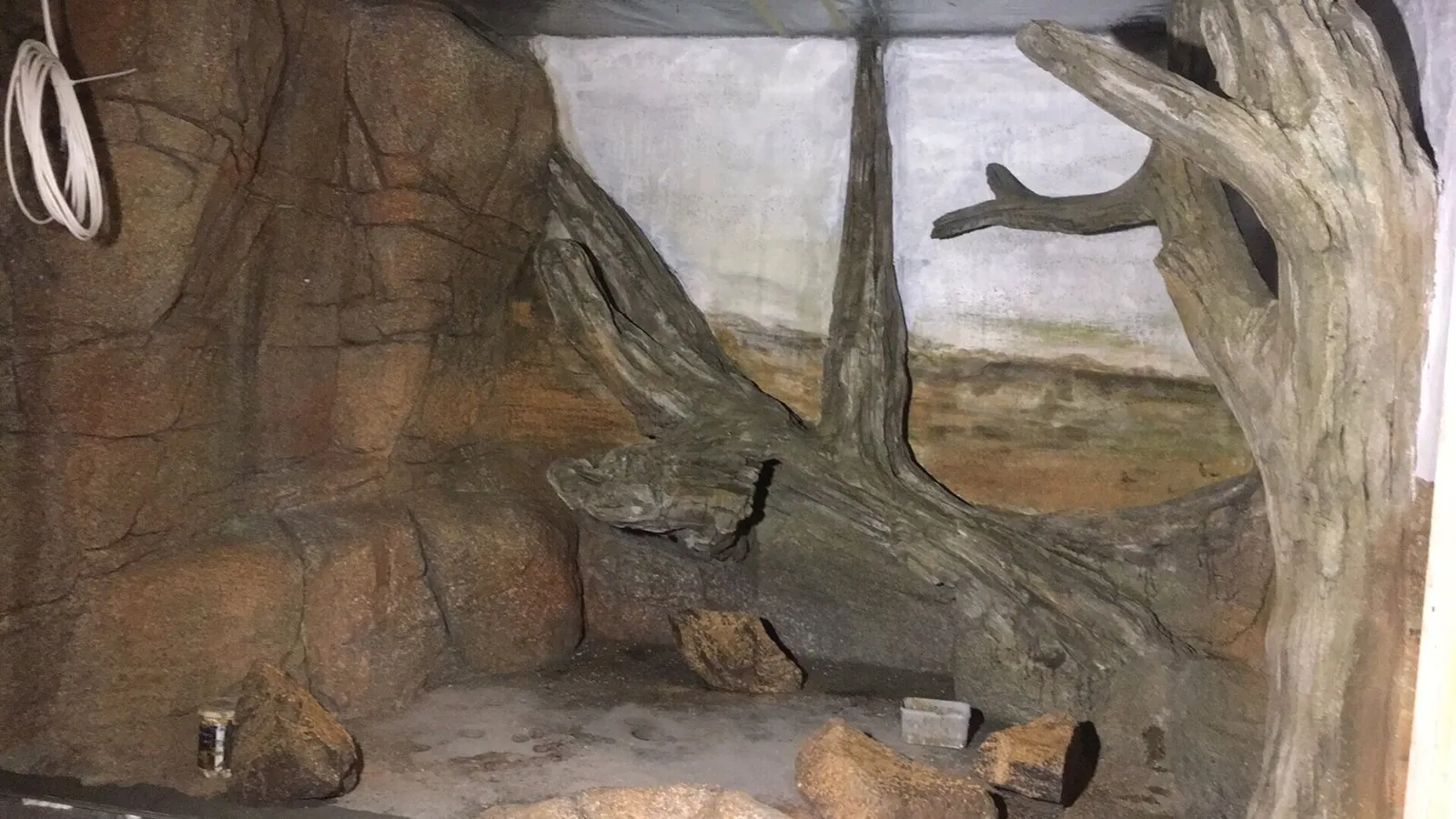 Universeum, photo 8 of 16
