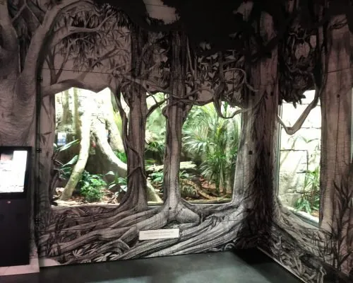 Universeum, photo 11 of 16