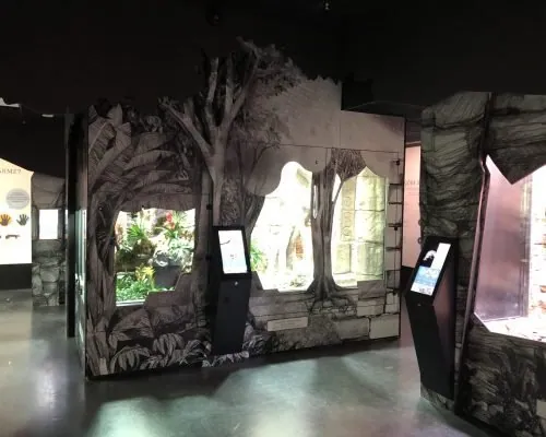 Universeum, photo 12 of 16
