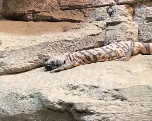 Universeum, photo 13 of 16