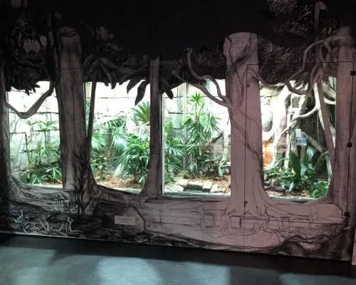 Universeum, photo 14 of 16