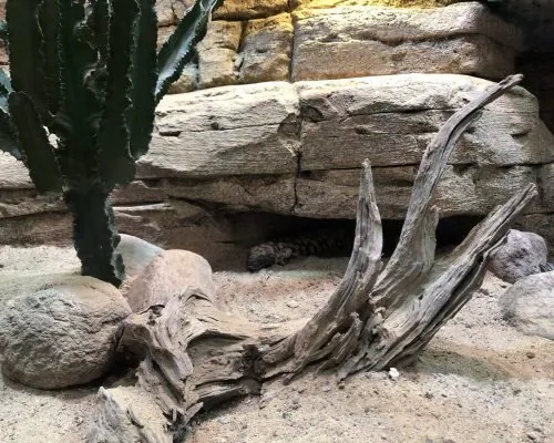 Universeum, photo 15 of 16