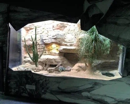 Universeum, photo 16 of 16